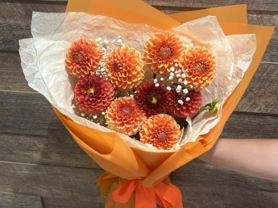 Солнечный закат